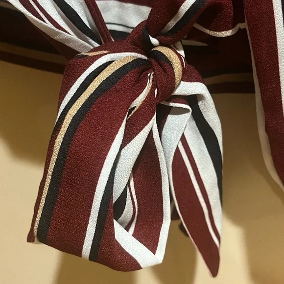 Maroon Striped Blouse - Picture 4 of 5
